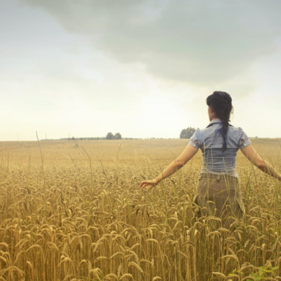 A Holy Moment by Devotions on the Run