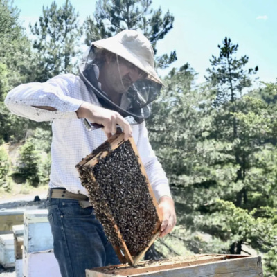 Greece’s Secret to Perfect Honey