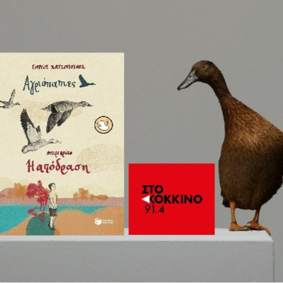 Οι "Αγριόπαπιες" στο Κόκκινο 91.4 FM episode artwork