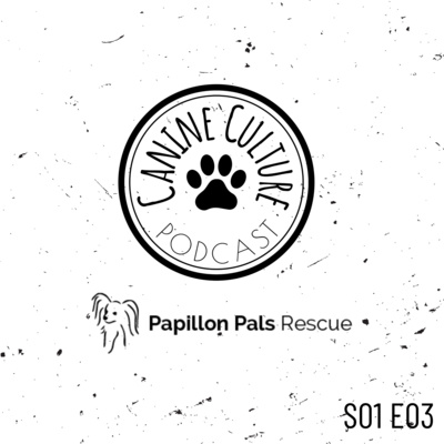 Running a Dog Rescue with guest Tami from Papillon Pals Rescue episode artwork