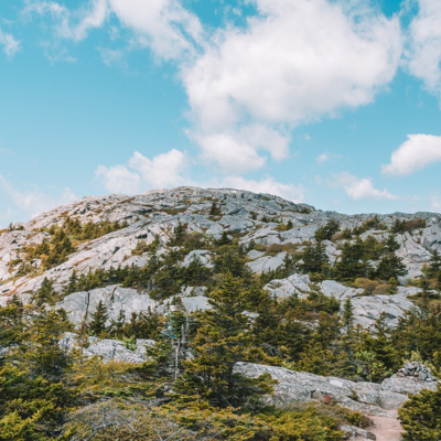 Flame & Shadow - Ep 2 - Into the Toadsquats Flame & Shadow - Ep 2 - Into the Toadsquats