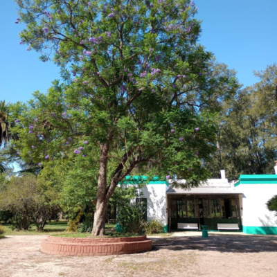 Zumerland Enero