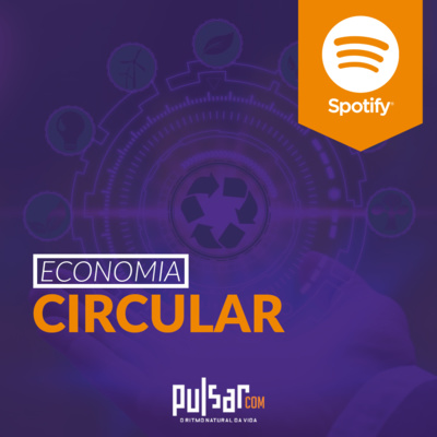 12 Economia Circular