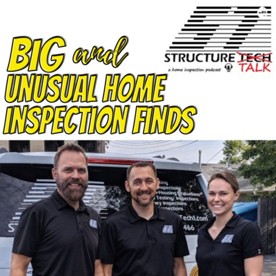 Big and unusual home inspection finds