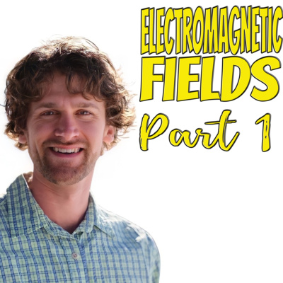 Electromagnetic Fields Part 1 (with Nate Johnson)