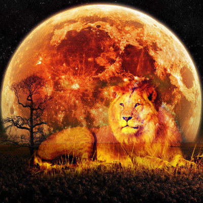 Bölüm 4: 16 Şubat Aslan Dolunayı episode artwork