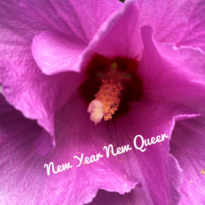 #105 new year, new queer episode artwork