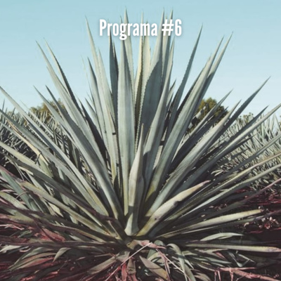 Programa #6 | Festival Internacional de Cine en Tequila