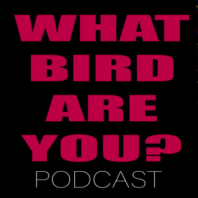 WBAY Podcast
