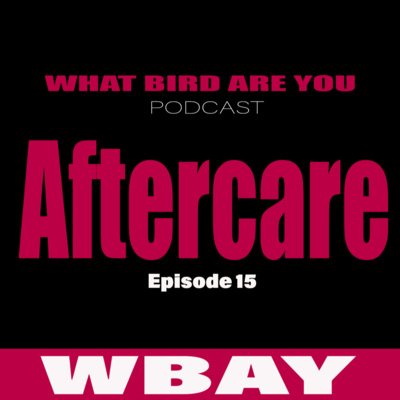 WBAY Podcast