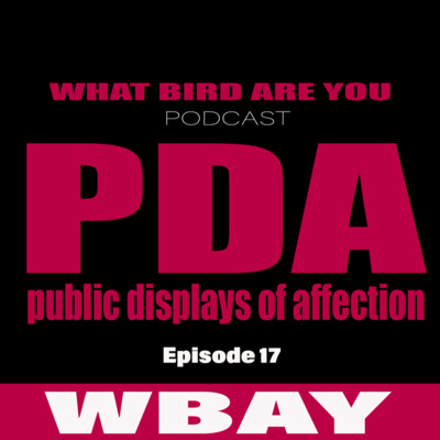 WBAY Podcast