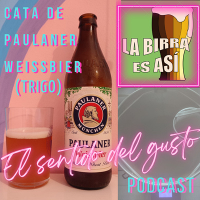 7# El sentido del gusto en la cerveza.