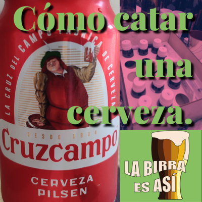 8# Cómo catar una cerveza.