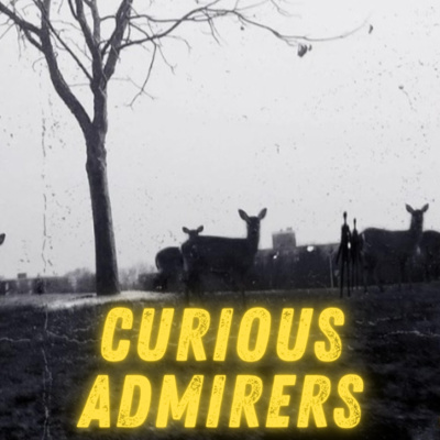 Curious Admirers
