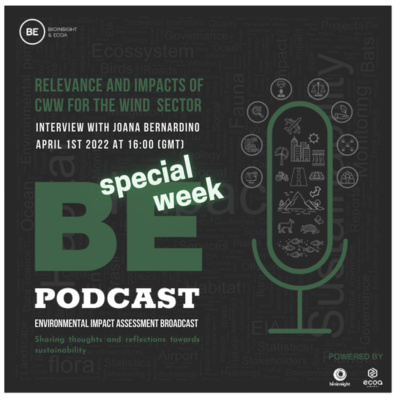 Ep 17 - Interview with Joana Bernardino - CWW Relevance and Impacts