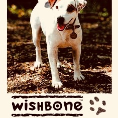 Little Gems: Wishbone #16 episode artwork
