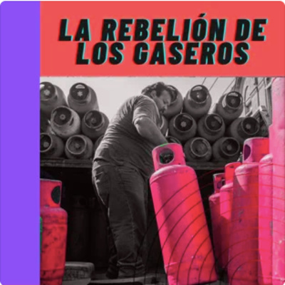 Tribuna de Necios