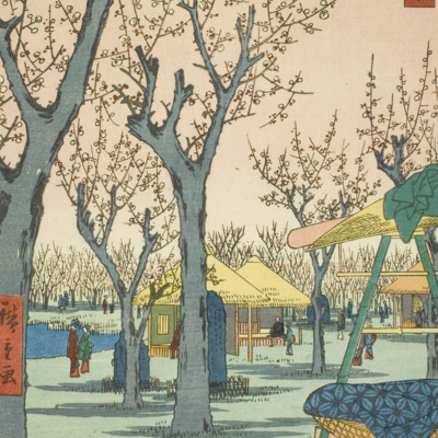Episodio 6: 🌸冬から春にかけて咲く花|Las flores de invierno y primavera