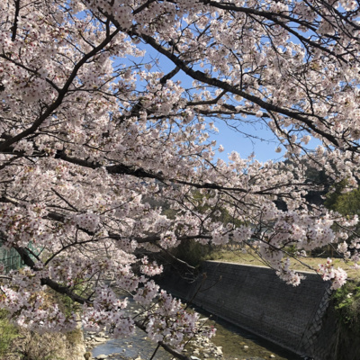 Episodio 11: 🌸4月の行事|Los eventos de abril