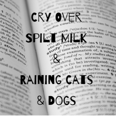 Episode 16: Cry Over Spilt Milk & Raining Cats & Dogs