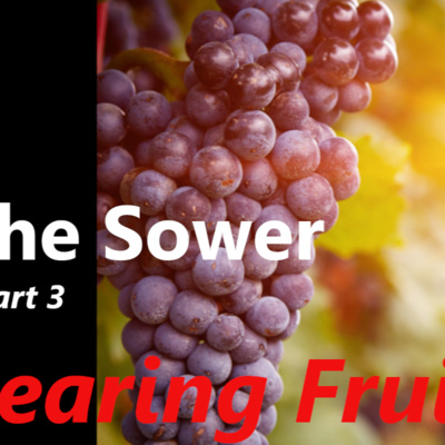 The Sower PART03: BEARING FRUIT episode artwork
