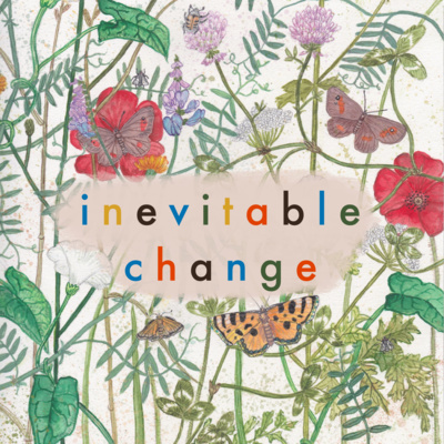 Sowing the Seeds of Inevitable Change
