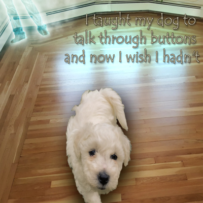 I taught my dog to talk through buttons and now I wish I hadn't
