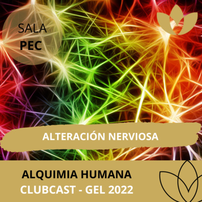 00124 Patrón de alteración Nerviosa - GEL 2022 (11/28) episode artwork