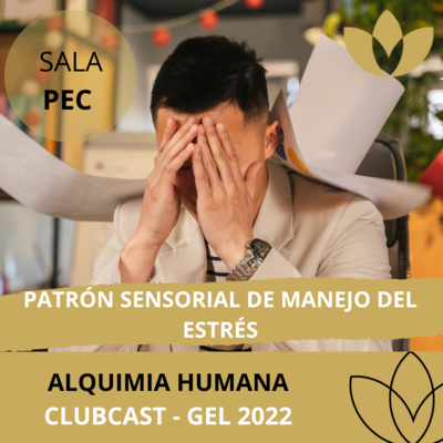 00126 Patrón sensorial de manejo del estrés - GEL 2022 (12/28) episode artwork