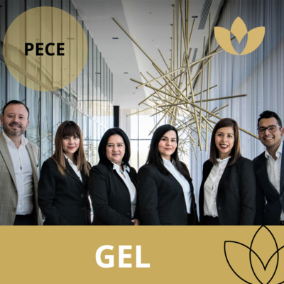 00175 Cultura organizacional con inteligencia emocional - GEL 2022 (28)