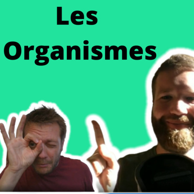 Les organismes d’aide pour personne bipolaire ? 📝