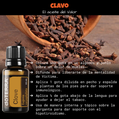 The Self Care Corner