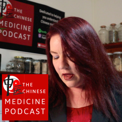 What is Spleen Energy Deficiency ? Explaining Chinese Medicine with Marie Hopkinson 