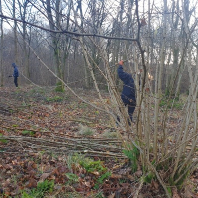 Crannog Community - Coppice Team - Iain and Cameron