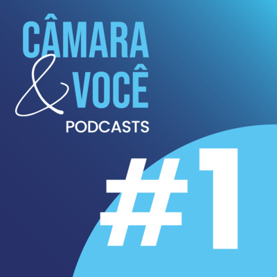 Câmara&Você