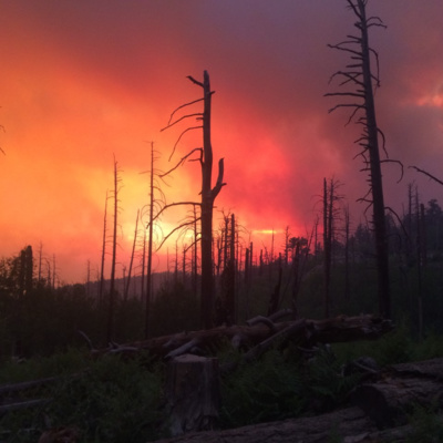 New Mexico in Focus (A Production of NMPBS)