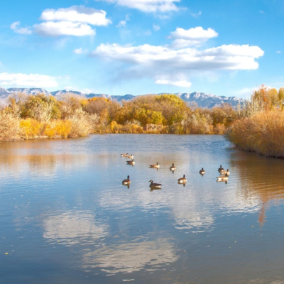 New Mexico in Focus (A Production of NMPBS)