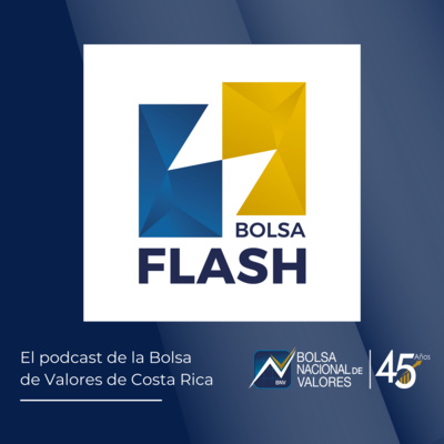 Bolsa Flash