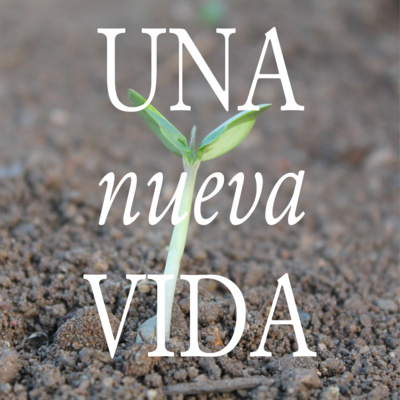 Podcast La oveja favorita