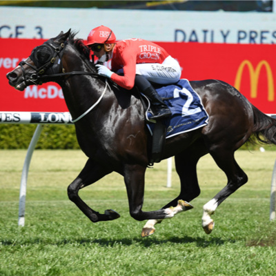 Ep 22- Doomben 10,000 and SA Derby episode artwork