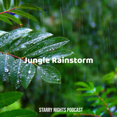 3hrs of Jungle Rainstorm to Help You Sleep, Relax, & Beat Insomnia