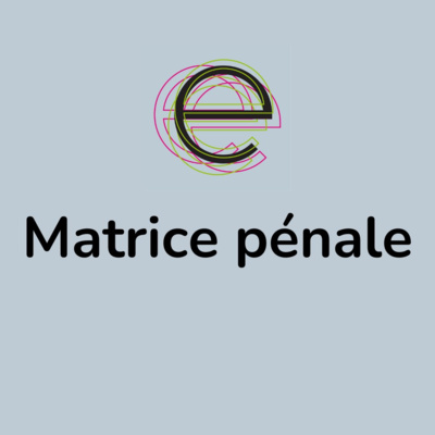 Matrice pénale 1/2 : Femmes et justice pénale, une défiance légitime