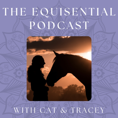 Welcome fellow equestrian! episode artwork