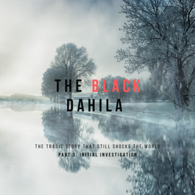 10. Part Three: Initial Investigation episode artwork