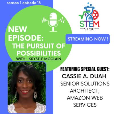 STEM SYNC