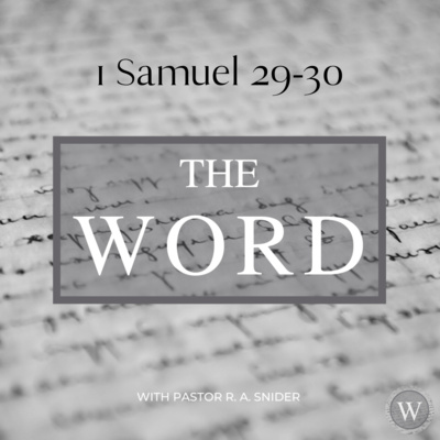 1 Samuel 29-30 episode artwork