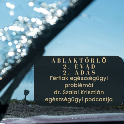 Férfi bajok, férfi egészségügyi problémák - Ablaktörlő egészségügyi podcast