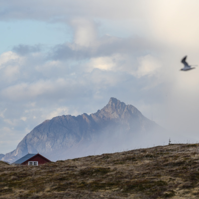 #94 Lovund retreat og fjellet i mennesket!