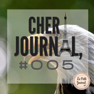 Episode 4 - Les animaux sauvages - Cher Journal