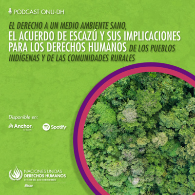 El derecho a un medio ambiente sano, el Acuerdo de Escazú y sus implicaciones para los derechos humanos de los pueblos indígenas y de las comunidades rurales.